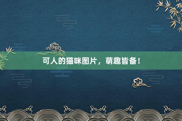 可人的猫咪图片，萌趣皆备！